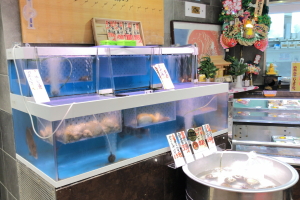 魚耕7