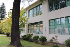 東京女子大学 大学祭(VERA祭)2