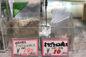 ちゃーりー8